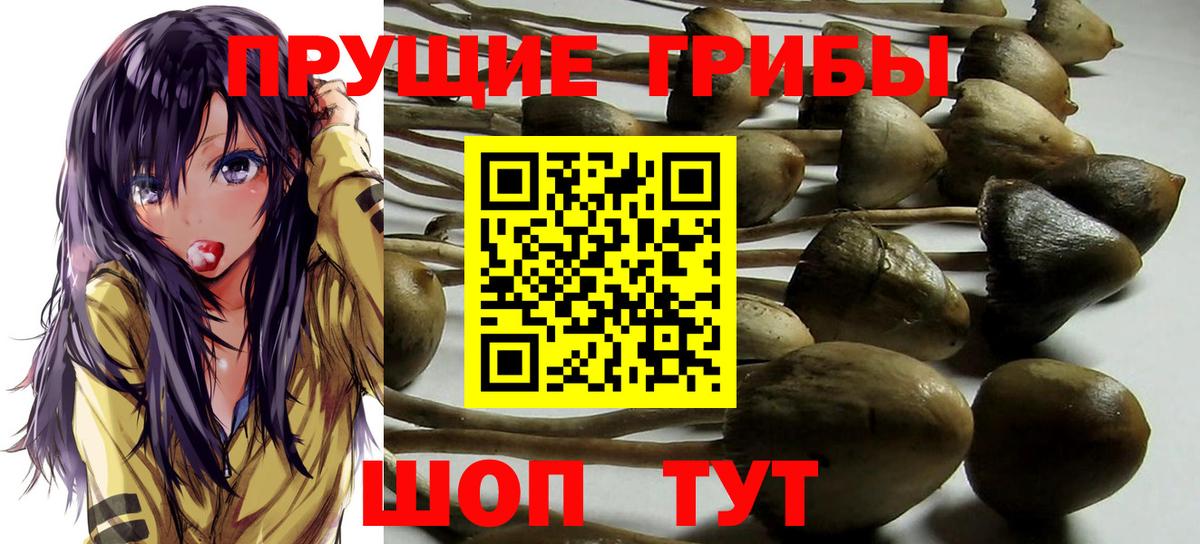 Галлюциногенные грибы ЛСД  Вход с VPN  Псилоцибиновые грибы мухоморы  Подольск 